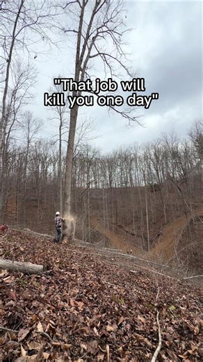 #CapCut #stihl #timber #logging