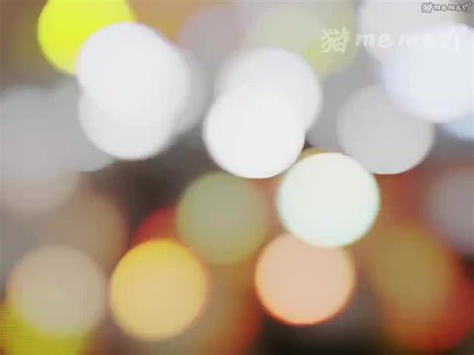 当我成为第一批回家过年的 #猫meme #catmeme #搞笑 #抽象 #万万没想到