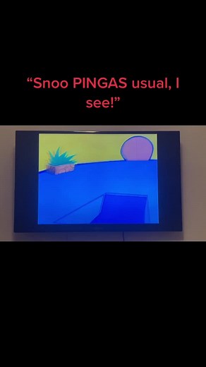 Sonic the Hedgehog Pingas Moment Explained
