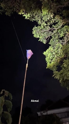 yellow birdcage on a tall tree #trending #shortsviral