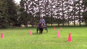 2.3K views · 85 reactions | The carts seem to be getting "bigger"!! A look at our first small pony size Cricket with the independent suspension. The pony in the video is the biggest we have at 42 inches. The cart is destined for an 11.5 hand, small pony. A huge THANK YOU to Joanne Bonnell for her order!!!! This is the marathon "version" of the cart. I will do another post soon with it all decked out for dressage!! | Patty's Pony Place | Facebook