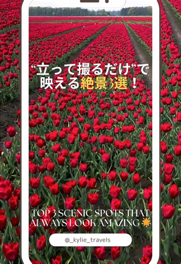 日本の絶景スポットで映える写真を撮る方法