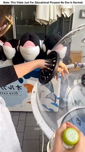 Building Wooden Log Cabin in Forest 🌲🎈 | Survival House Step by Step"8 #shorts #amazingfacts