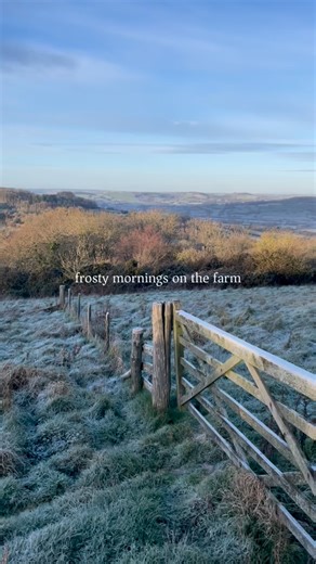 A calm and crisp morning at River Cottage before a busy day ahead ❄️ | River Cottage