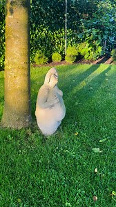 28K views · 779 reactions | Zondagavond in mijn groentetuin, geen tv, geen muziek, enkel de vogeltjes en het geluid van de natuur: beste medicijn voor lichaam en ziel. #groenevingers #acdserres #plantlife #ontspanning | Els de Schepper | Facebook