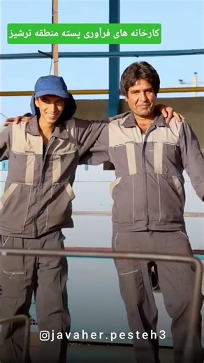 Have you seen pistachio processing?