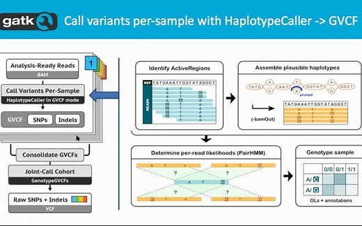 S9. GATK4 WORKSHOP系列【1080P】使用HaplotypeCaller检出变异