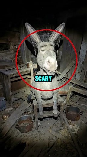 These life-sized Shrek figures are actually terrifying #shrek #creepy #abandoned