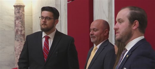 Baylea's law: Bill proposes doubling penalties for deaths caused by DUI