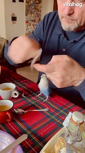 3.5K views · 71 reactions | Bird with a job | Science Boy | Facebook