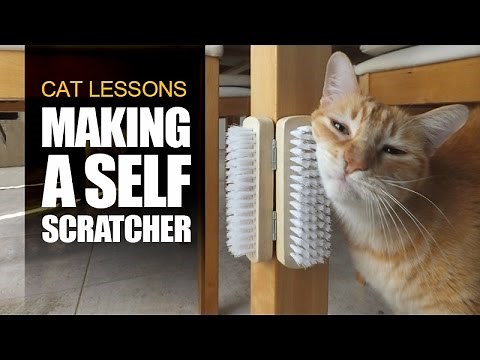 How to Make a Self Scratcher for Cats