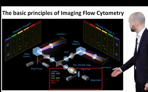 [英文]成像流式介绍 Imaging Flow Cytometry
