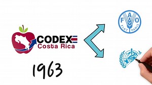 13 reactions | ¿Sabe qué es el Codex Alimentarius? 燎綾復Hoy, en el Día Mundial de la Inocuidad de los Alimentos, le contamos de qué trata y su importancia para nuestra salud. #CodexAlimentarius | Ministerio de Economía, Industria y Comercio (MEIC) | Facebook