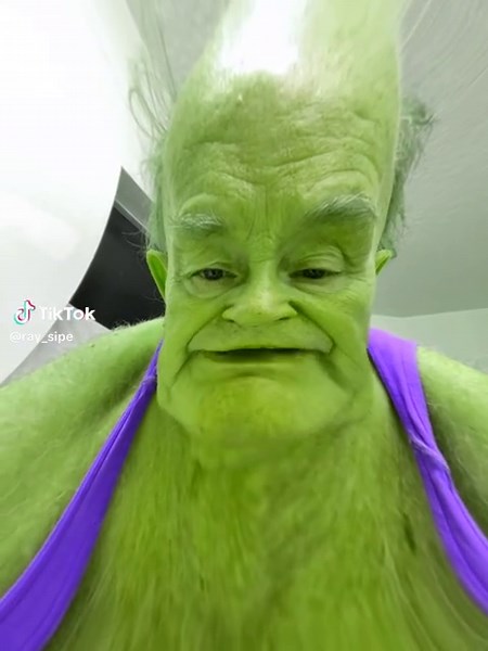 Hulk's Job Application: A Comedy Meme