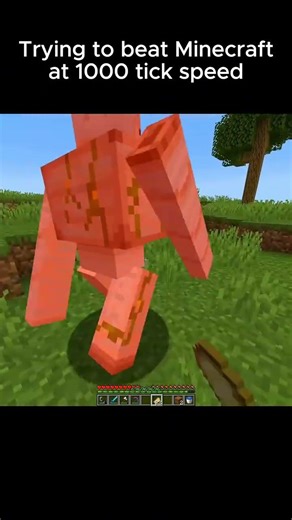 try minecraft 1000 tick in java 😐