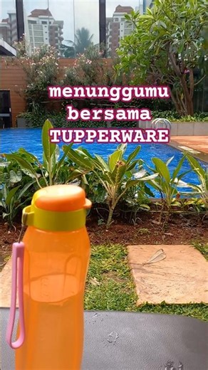 Berenang ditemenin tupperware ....‪@TupperwareBrands‬