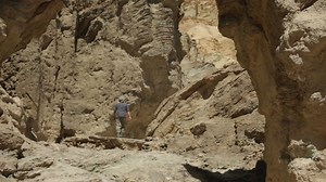 Talent Swallowing System Chapter 4Arcane Silver