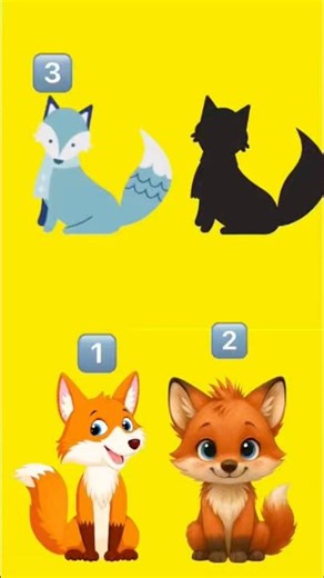 Find the Right Fox 🦊 | Fun Kids Puzzle!