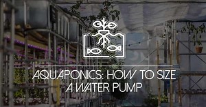 Water Pumps for Aquaponics: How to Choose the Right Size