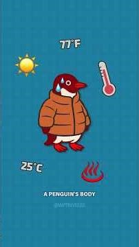 Penguins Refuse to Live in the Northern Hemisphere?