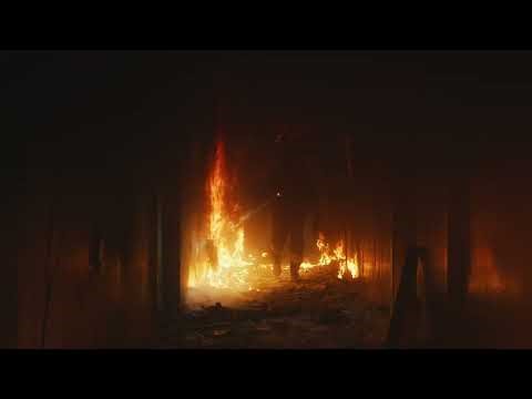 Coreforce — We Put The Human In Technology