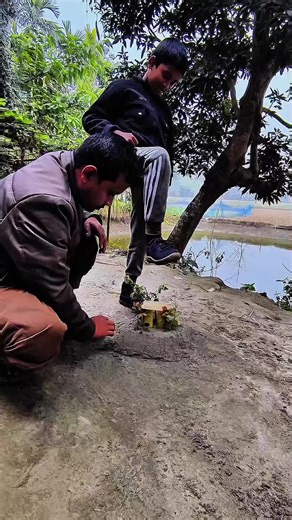 Creative VFX Sorting Ideas for Stunning Visuals