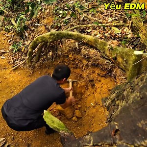 36K views · 503 reactions | Shelter Inside a giant tree built a hidden forest alone make trap fishs | Accessories Store | Facebook