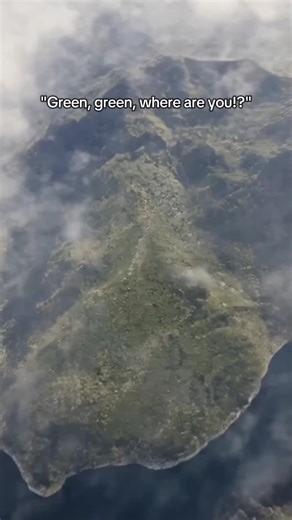 Green, Green: Counter-Strike 2 Memes Explored