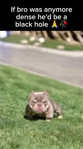 Little Dude Is Reaching Critical Mass