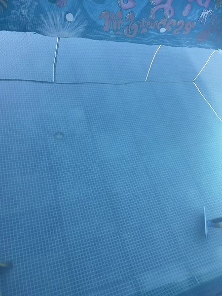 Piscina mi princesa Sofia: Diversión familiar garantizada