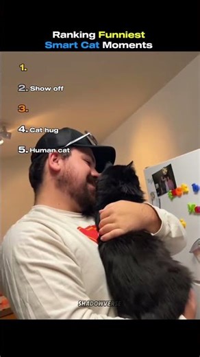 Smart Cats 😂 #funny #cats #shorts
