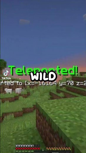 Play the newest Crystal PVP server on Minecraft! On Java and Bedrock! #minecraft #mc #fyp