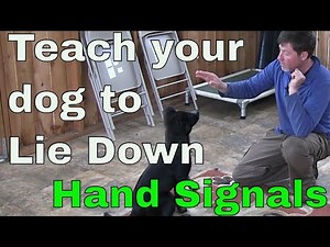 Train your dog to lie down using hand signal