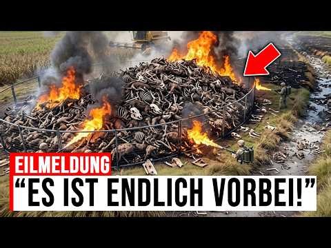 After the Texas wild boar massacre, something happened that shocked even experts.