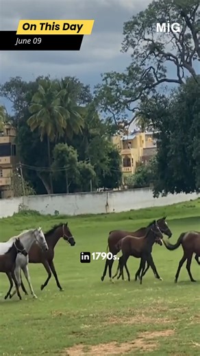 Legendary Derbies: From Kentucky to Karnataka #OnThisDay: On June 9, 1973, Secretariat won Belmont Stakes by record 31 lengths, completing Triple Crown after earlier wins in Kentucky Derby and Preakness. #MediaIndiaGroup Kunigal Stud Farm Kentucky Derby Dubai Racing The Derby Arms, Epsom Downs Melbourne Cup | Media India Group