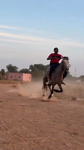 Course des chevaux 🐴🐎 | ES-TV