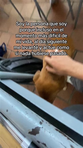 …#fyp #parati #foryoupage #fyppppppppppppppppppppppp #fypシ゚viral