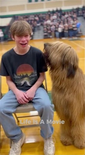 100 People...1 Dog ...1 Choice - 2026 Aidoption Event