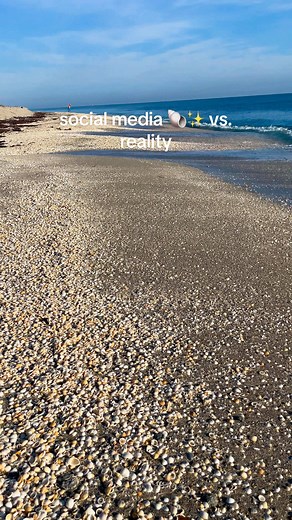 Mastering Shelling in Southeast Florida: Tides Matter