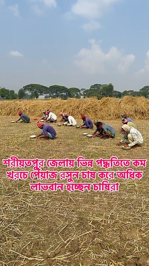 730K views · 9.7K reactions | শরীয়তপুর জেলায় অভিনব পদ্ধতিতে পেঁয়াজ রসুনের চাষ করে অধিক লাভবান হচ্ছেন চাষিরাVillage Tour | Village Tour | Facebook