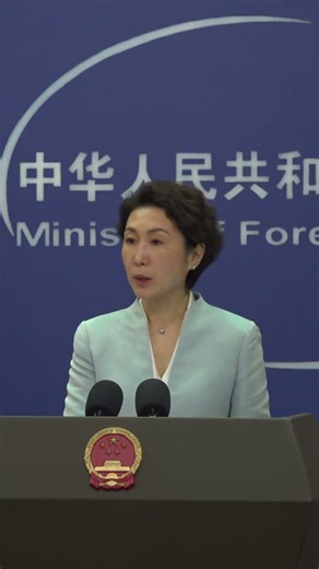 FM: Ceasefire key to maintain safe shipping routes