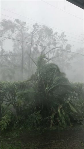 What over 100mph hurricane wind looks and sounds like.