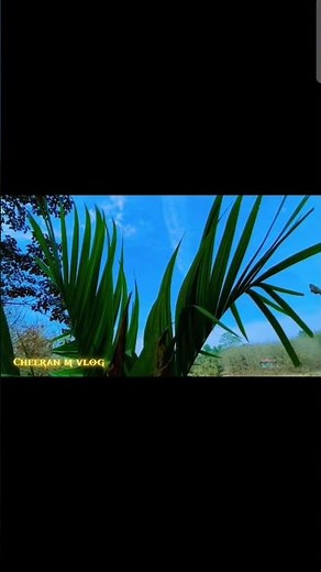 Nature Cinematic | Peaceful Nature Scenery 4K #sho