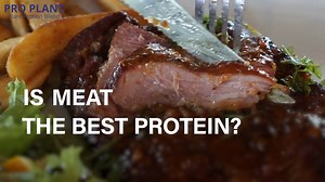 8.7M views · 608 reactions | 綾數 Everyone's talking about protein these days, but most don't realize it's not just about eating 'enough'! In this eye-opening video, best-selling dietary author and creator of ProPlant, Dr. Steven Gundry, reveals new discoveries about proteins. Discover how to powerfully improve digestion and energy levels, every day. Watch now  bit.ly/2QJ8AWn | Gundry MD - Nutrition | Facebook