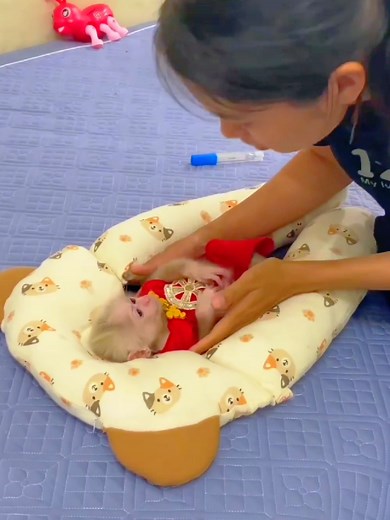 Baby Monkey's Fever: A Trip to the Doctor