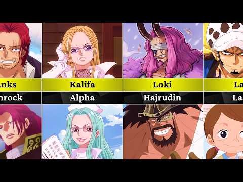 All One Piece Characters And Their Siblings