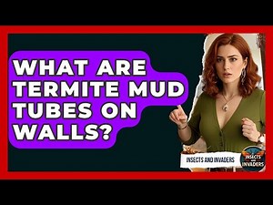 What Are Termite Mud Tubes On Walls? - Insects and Invaders