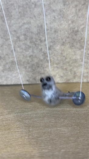 Lalalalala… Lalalalala… #buttonpuppets #seal #seals #puppet #marionette #needlefelting #felted #fiberart #felting #puppetsoftiktok