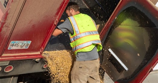 Iowa farmers' incomes to decline amid trade war, no farm bill allocations, report finds