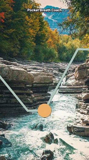 Vagus Nerve Exercises for Anxiety | 4-4-6-2 Breathing. This exercise helps calm the nervous system by balancing the breath with a gentle rhythm: Inhale through your nose for 4 seconds, hold for 4 seconds, exhale slowly through your mouth for 6 seconds, hold for 2 seconds. Why it works: The longer exhale (6 seconds) activates the vagus nerve and parasympathetic nervous system, which helps lower stress, reduce anxious feelings, and slow down your heart rate. The short holds add structure and focus